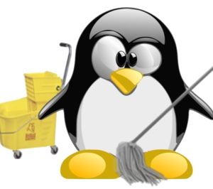 Linux clean